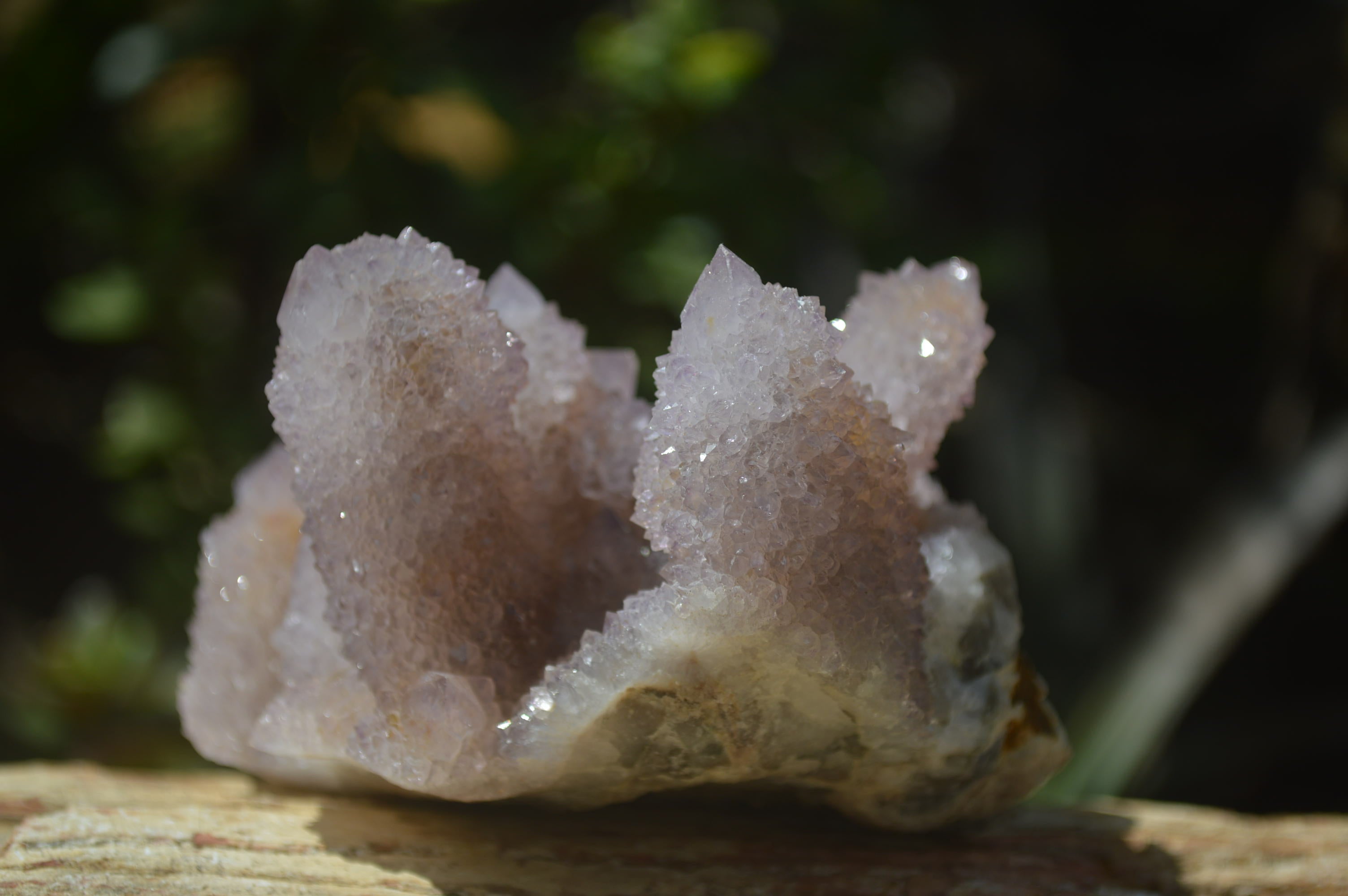 Natural Ametrine Spirit Quartz Clusters x 2 From Boekenhouthoek, South Africa - Toprock Gemstones and Minerals 