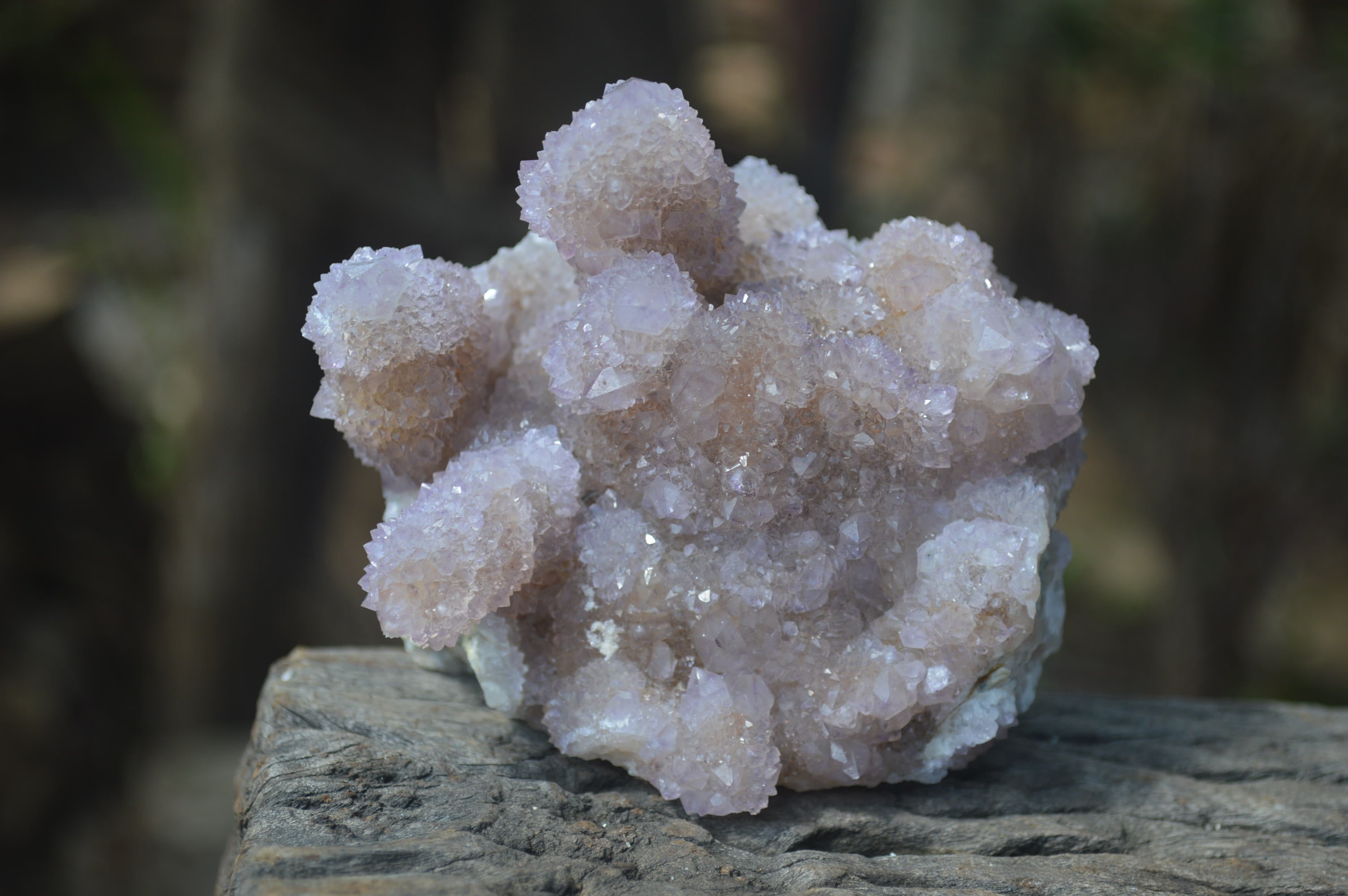 Natural Ametrine Spirit Quartz Clusters x 2 From Boekenhouthoek, South Africa - Toprock Gemstones and Minerals 