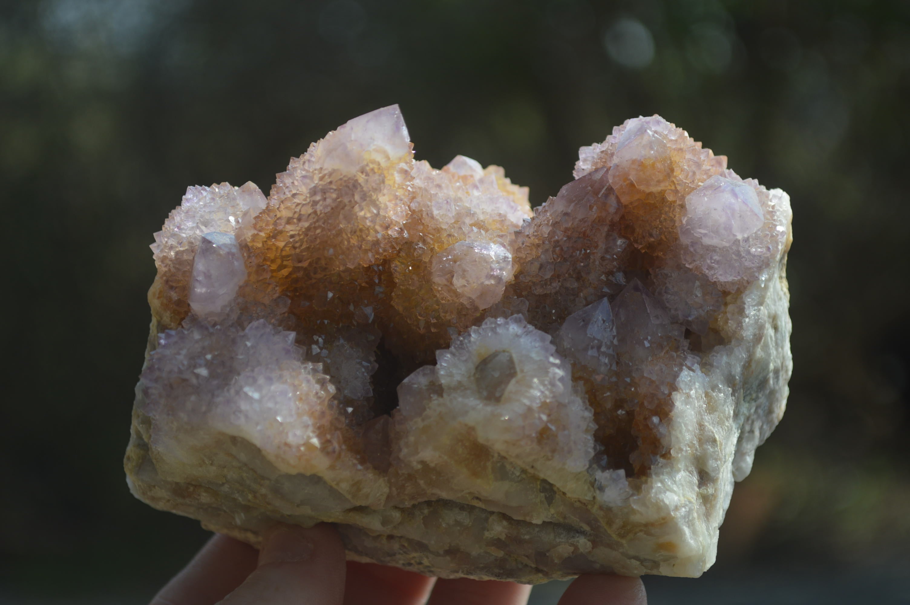 Natural Ametrine Spirit Quartz Clusters x 2 From Boekenhouthoek, South Africa - Toprock Gemstones and Minerals 