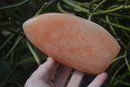 Polished Orange Twist Calcite Standing Free Forms x 2 From Madagascar - Toprock Gemstones and Minerals 