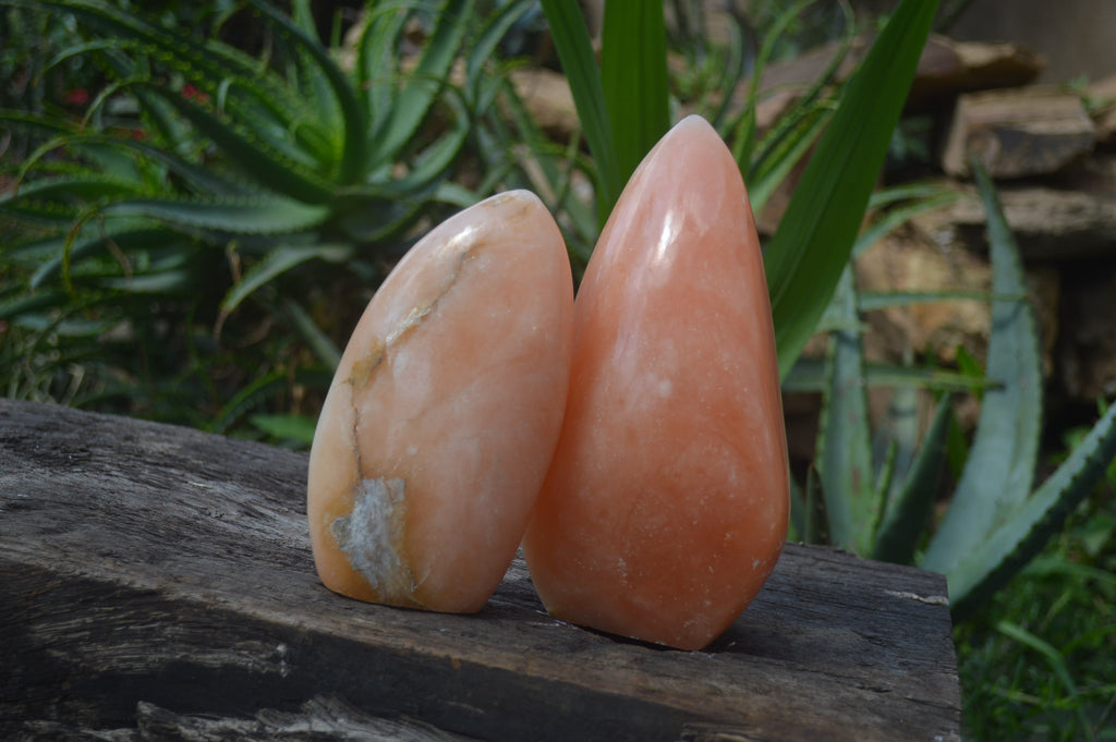 Polished Orange Twist Calcite Standing Free Forms x 2 From Madagascar - Toprock Gemstones and Minerals 