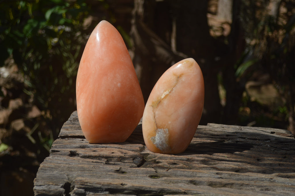 Polished Orange Twist Calcite Standing Free Forms x 2 From Madagascar - Toprock Gemstones and Minerals 