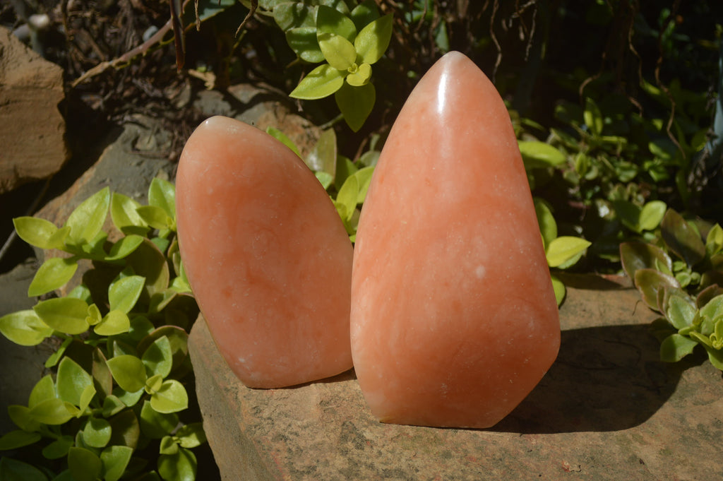 Polished Orange Twist Calcite Standing Free Forms x 2 From Madagascar - Toprock Gemstones and Minerals 
