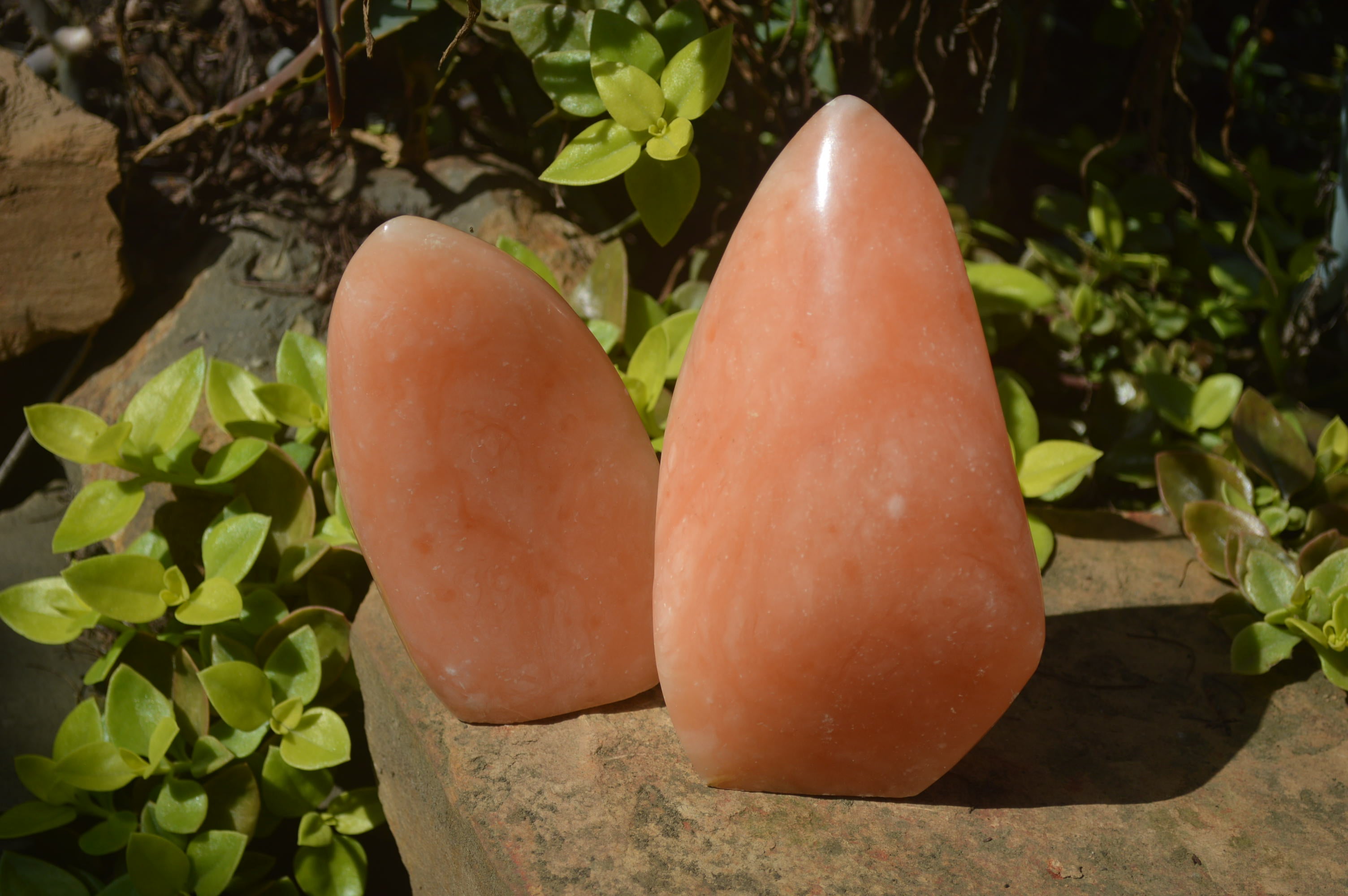 Polished Orange Twist Calcite Standing Free Forms x 2 From Madagascar - Toprock Gemstones and Minerals 