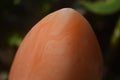 Polished Orange Twist Calcite Standing Free Forms x 2 From Madagascar - Toprock Gemstones and Minerals 