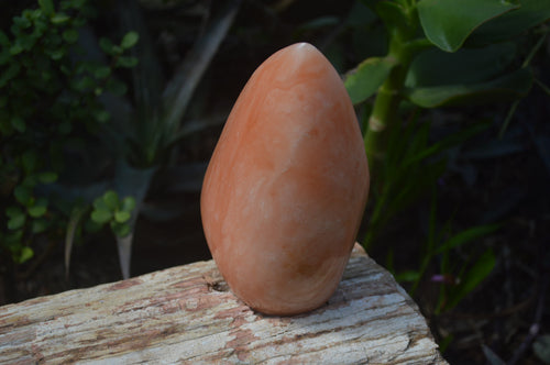 Polished Orange Twist Calcite Standing Free Forms x 2 From Madagascar - Toprock Gemstones and Minerals 