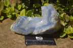 Natural Blue Lace Agate Geode Specimens x 5 From Malawi - Toprock Gemstones and Minerals 