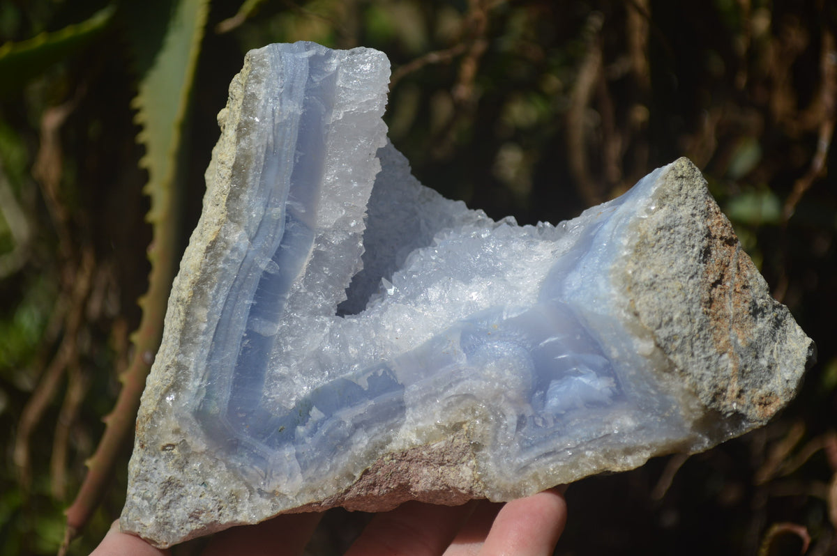 Natural Blue Lace Agate Geode Specimens x 5 From Malawi - Toprock Gemstones and Minerals 