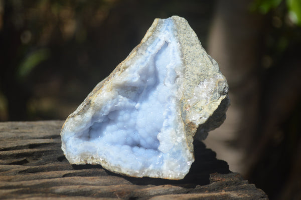 Natural Blue Lace Agate Geode Specimens x 5 From Malawi - Toprock Gemstones and Minerals 