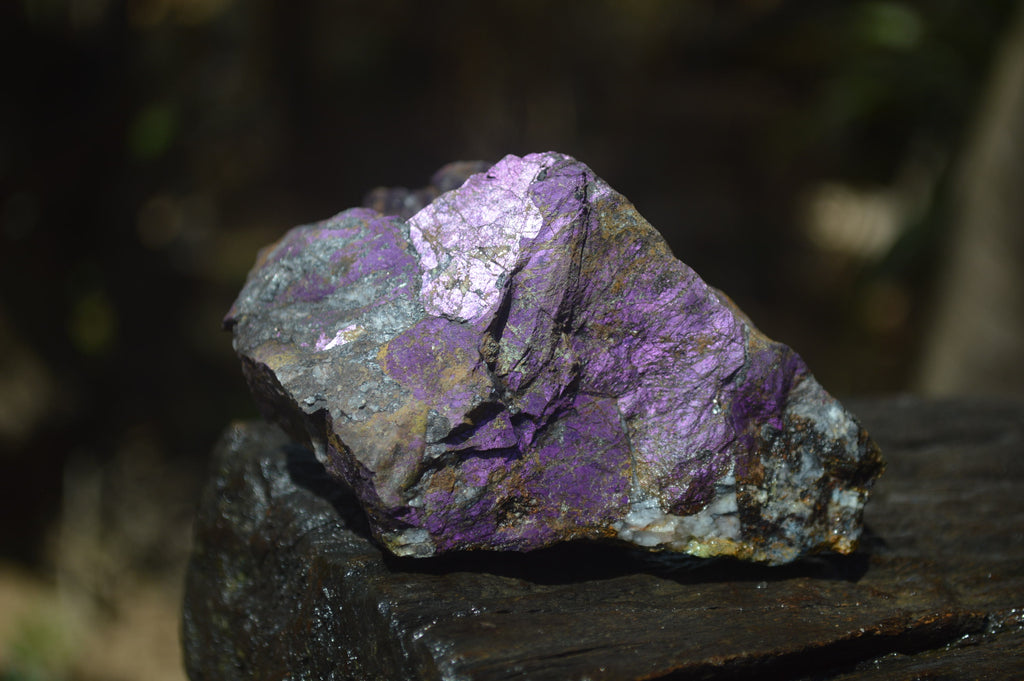 Natural Metallic Purpurite Cobbed Specimens x 13 From Erongo, Namibia - Toprock Gemstones and Minerals 