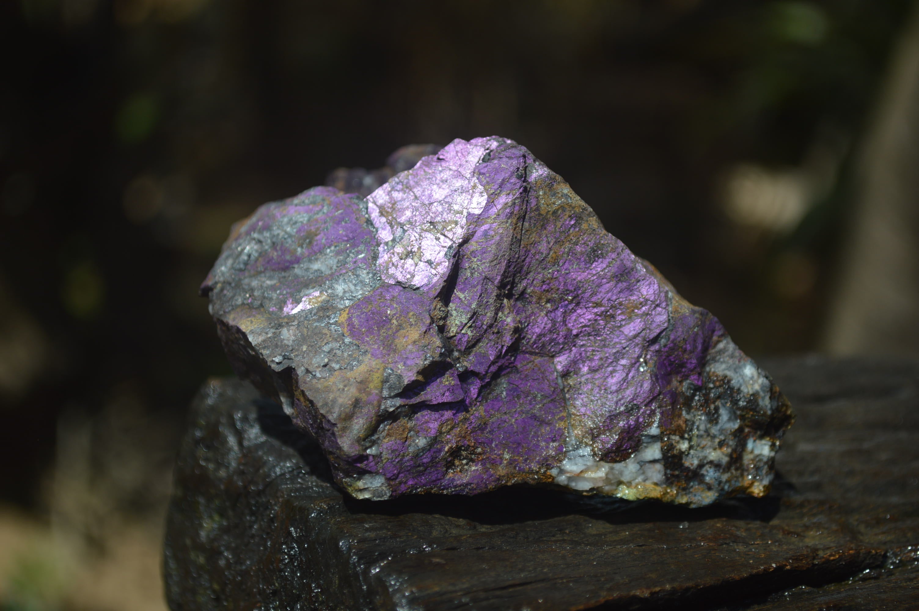 Natural Metallic Purpurite Cobbed Specimens x 13 From Erongo, Namibia - Toprock Gemstones and Minerals 