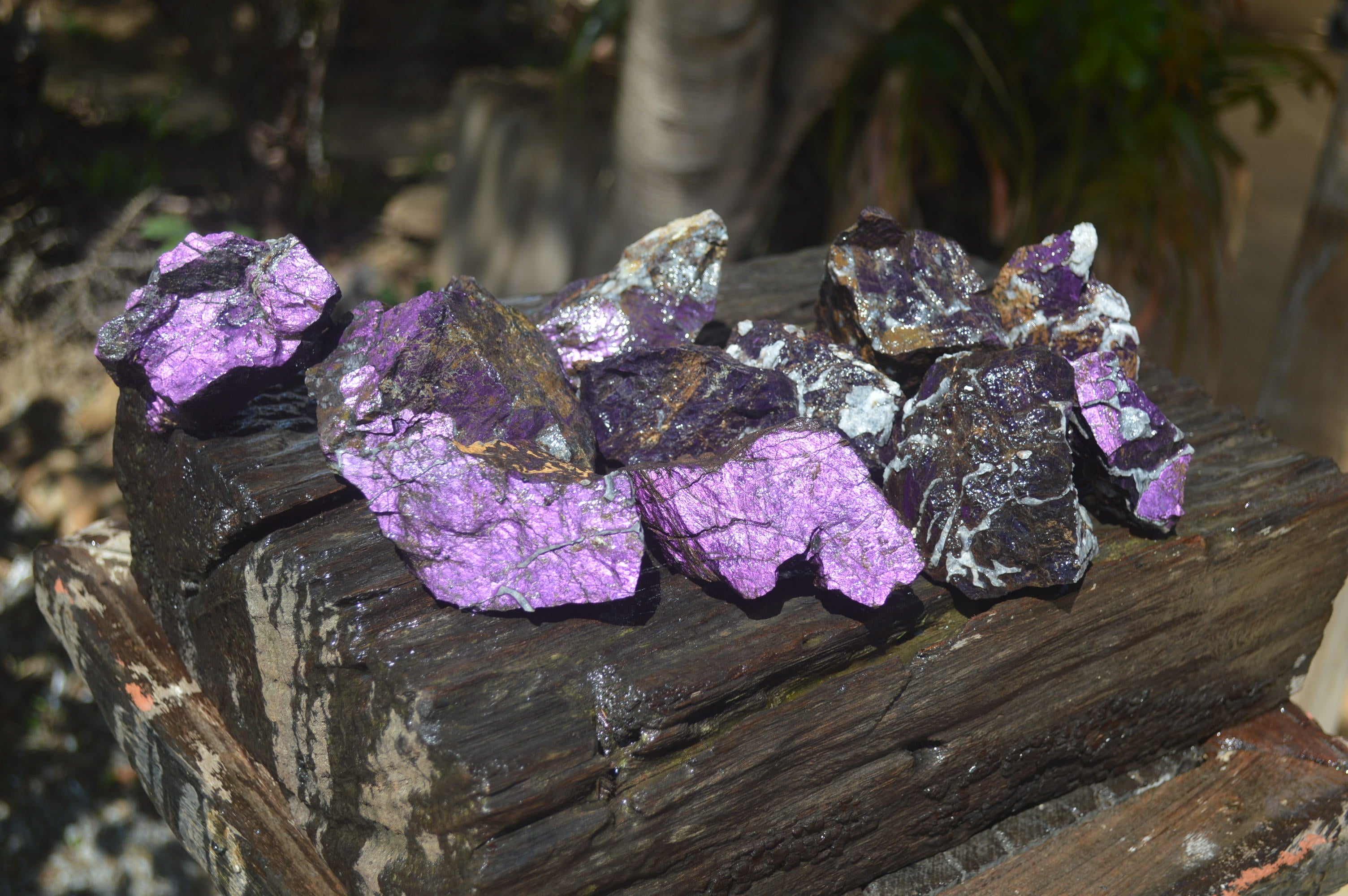 Natural Metallic Purpurite Cobbed Specimens x 13 From Erongo, Namibia - Toprock Gemstones and Minerals 
