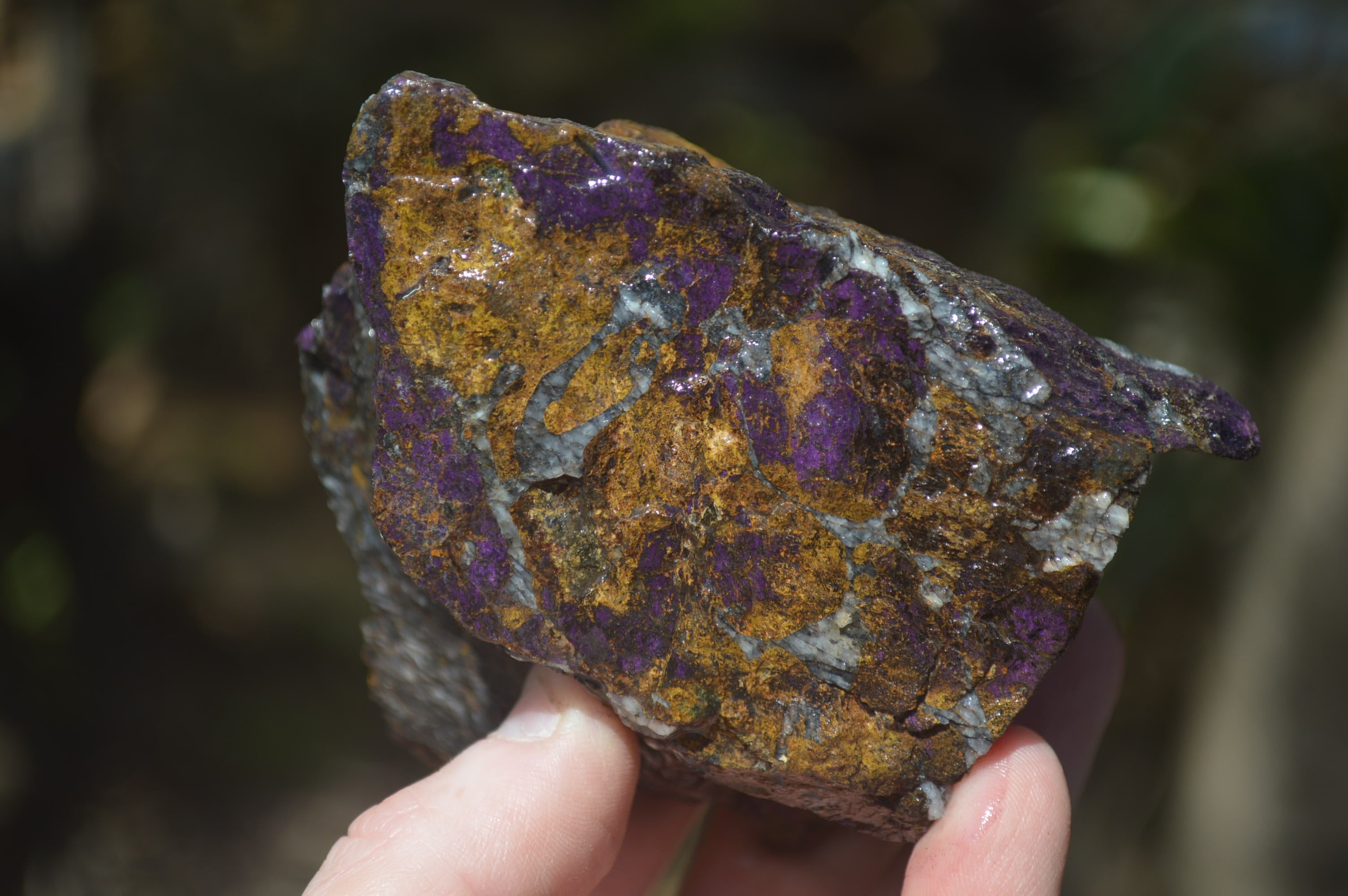 Natural Metallic Purpurite Cobbed Specimens x 13 From Erongo, Namibia - Toprock Gemstones and Minerals 
