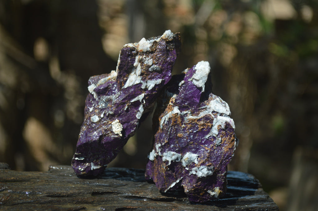 Natural Metallic Purpurite Cobbed Specimens x 13 From Erongo, Namibia - Toprock Gemstones and Minerals 