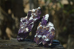 Natural Metallic Purpurite Cobbed Specimens x 13 From Erongo, Namibia - Toprock Gemstones and Minerals 