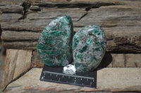 Polished Rare Emerald Mica In Matrix Standing Free Forms x 4 From Mutoko, Zimbabwe - Toprock Gemstones and Minerals 