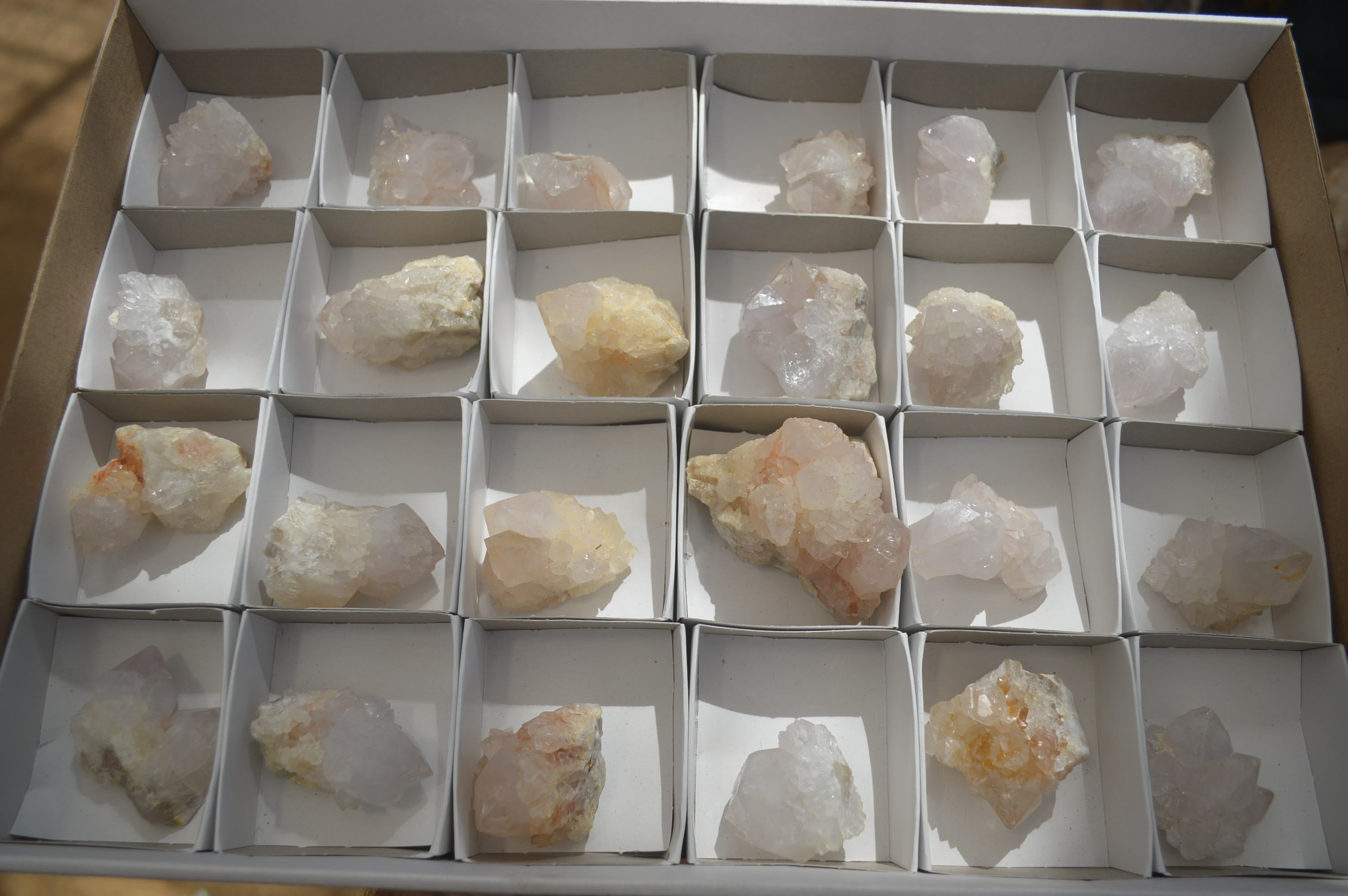 Natural Cactus Flower Spirit Quartz Crystals x 24 From Boekenhouthoek, South Africa - Toprock Gemstones and Minerals 