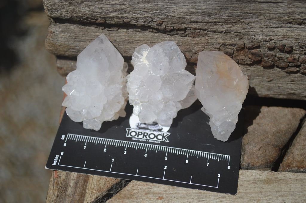 Natural Cactus Flower Spirit Quartz Crystals x 24 From Boekenhouthoek, South Africa - Toprock Gemstones and Minerals 