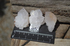 Natural Cactus Flower Spirit Quartz Crystals x 24 From Boekenhouthoek, South Africa - Toprock Gemstones and Minerals 