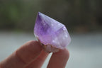 Polished Window Amethyst Quartz Crystals x 12 From Akansobe, Madagascar - Toprock Gemstones and Minerals 