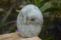 Polished Dendritic Opal Standing Free Forms x 3 From Madagascar - Toprock Gemstones and Minerals 