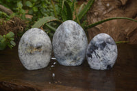 Polished Dendritic Opal Standing Free Forms x 3 From Madagascar - Toprock Gemstones and Minerals 