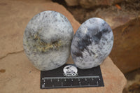 Polished Dendritic Opal Standing Free Forms x 3 From Madagascar - Toprock Gemstones and Minerals 