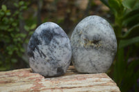 Polished Dendritic Opal Standing Free Forms x 3 From Madagascar - Toprock Gemstones and Minerals 