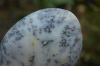 Polished Dendritic Opal Standing Free Forms x 3 From Madagascar - Toprock Gemstones and Minerals 