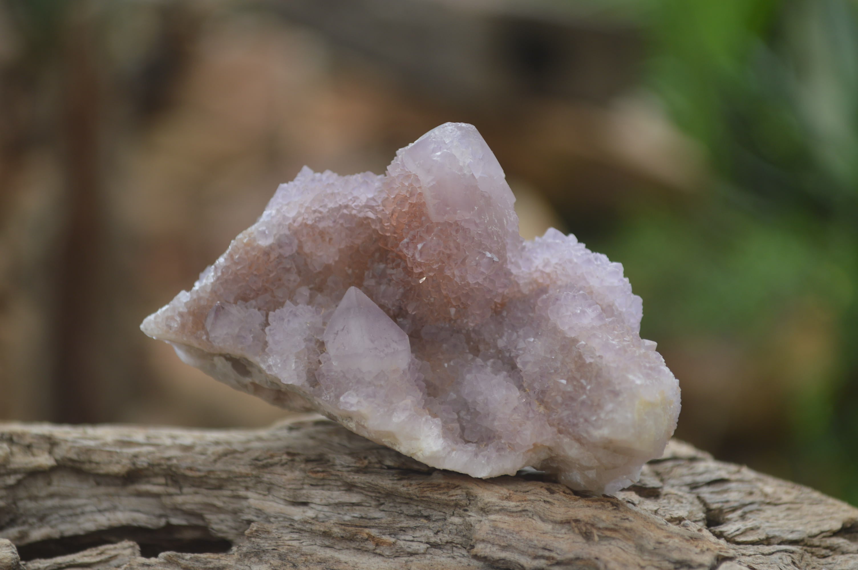 Natural Ametrine Spirit Quartz Clusters x 12 From Boekenhouthoek, South Africa - Toprock Gemstones and Minerals 