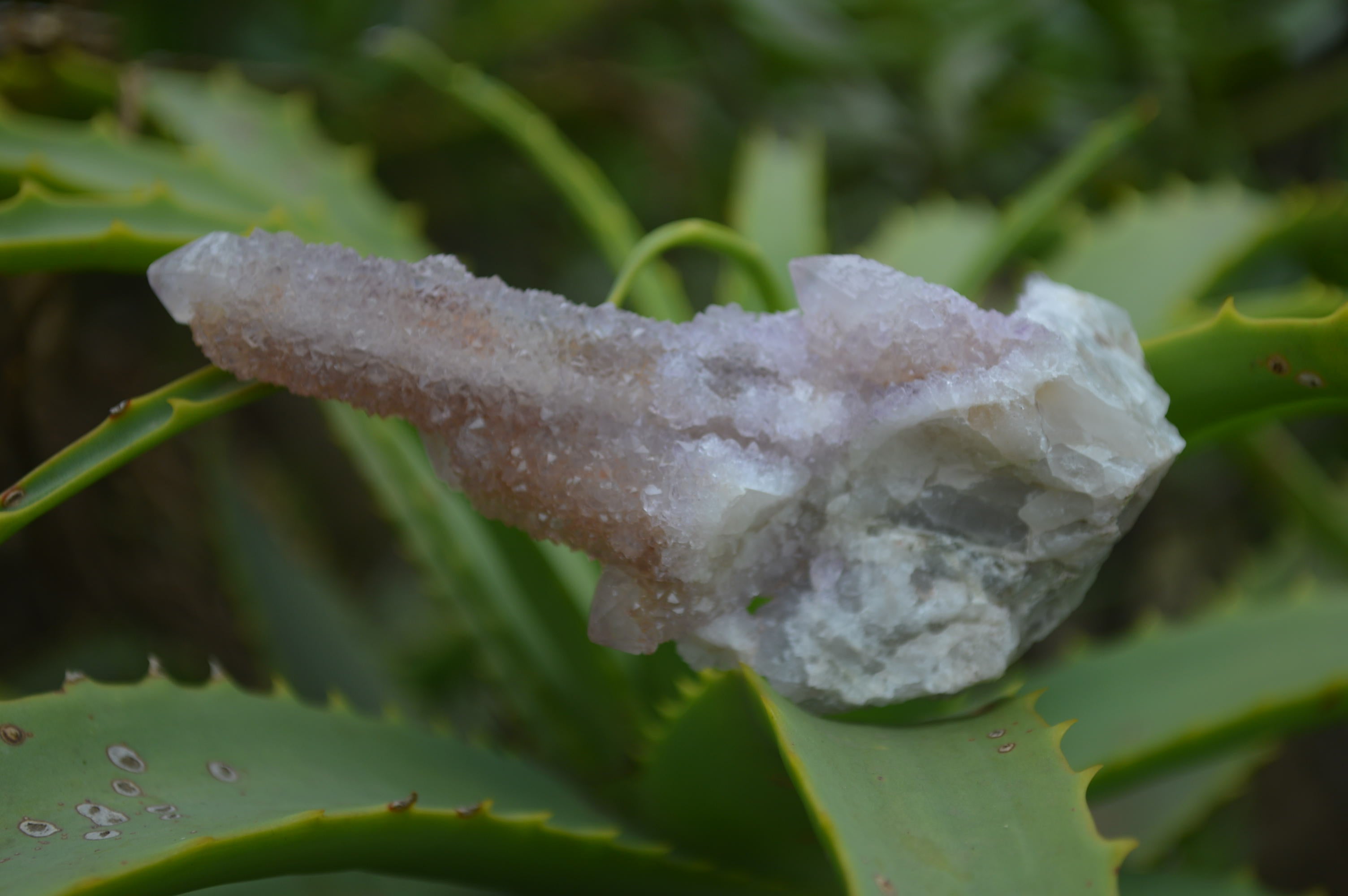 Natural Ametrine Spirit Quartz Clusters x 12 From Boekenhouthoek, South Africa - Toprock Gemstones and Minerals 