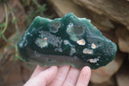 Polished On One Side Emerald Mtorolite x 6 From Mutorashanga, Zimbabwe - Toprock Gemstones and Minerals 