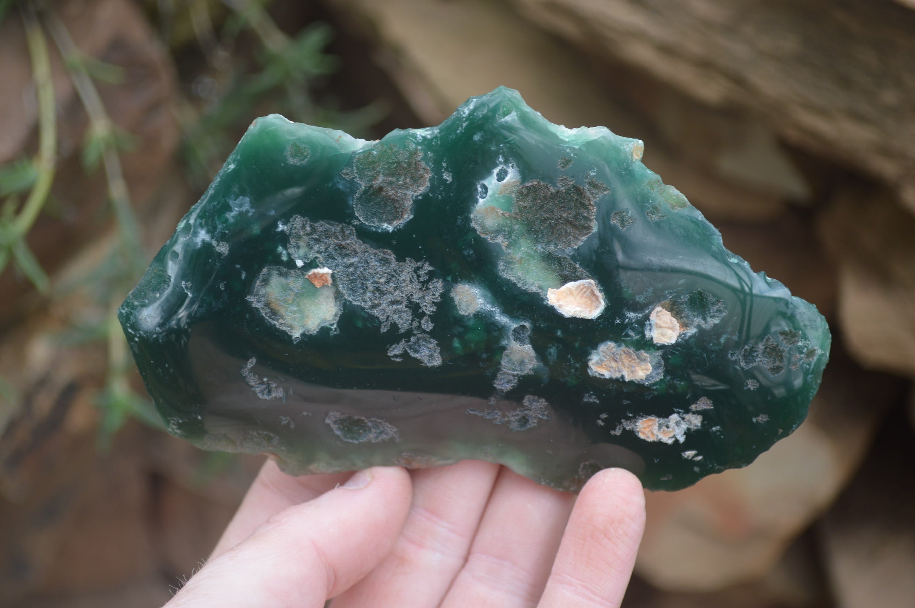 Polished On One Side Emerald Mtorolite x 6 From Mutorashanga, Zimbabwe - Toprock Gemstones and Minerals 
