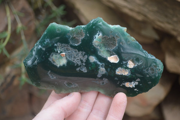 Polished On One Side Emerald Mtorolite x 6 From Mutorashanga, Zimbabwe - Toprock Gemstones and Minerals 
