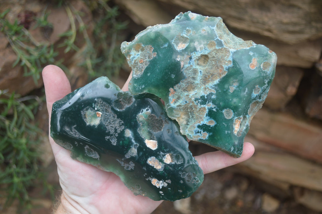 Polished On One Side Emerald Mtorolite x 6 From Mutorashanga, Zimbabwe - Toprock Gemstones and Minerals 