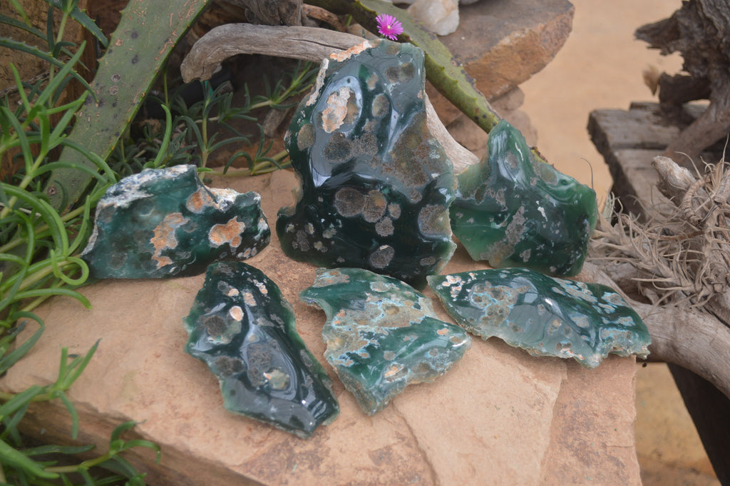 Polished On One Side Emerald Mtorolite x 6 From Mutorashanga, Zimbabwe - Toprock Gemstones and Minerals 