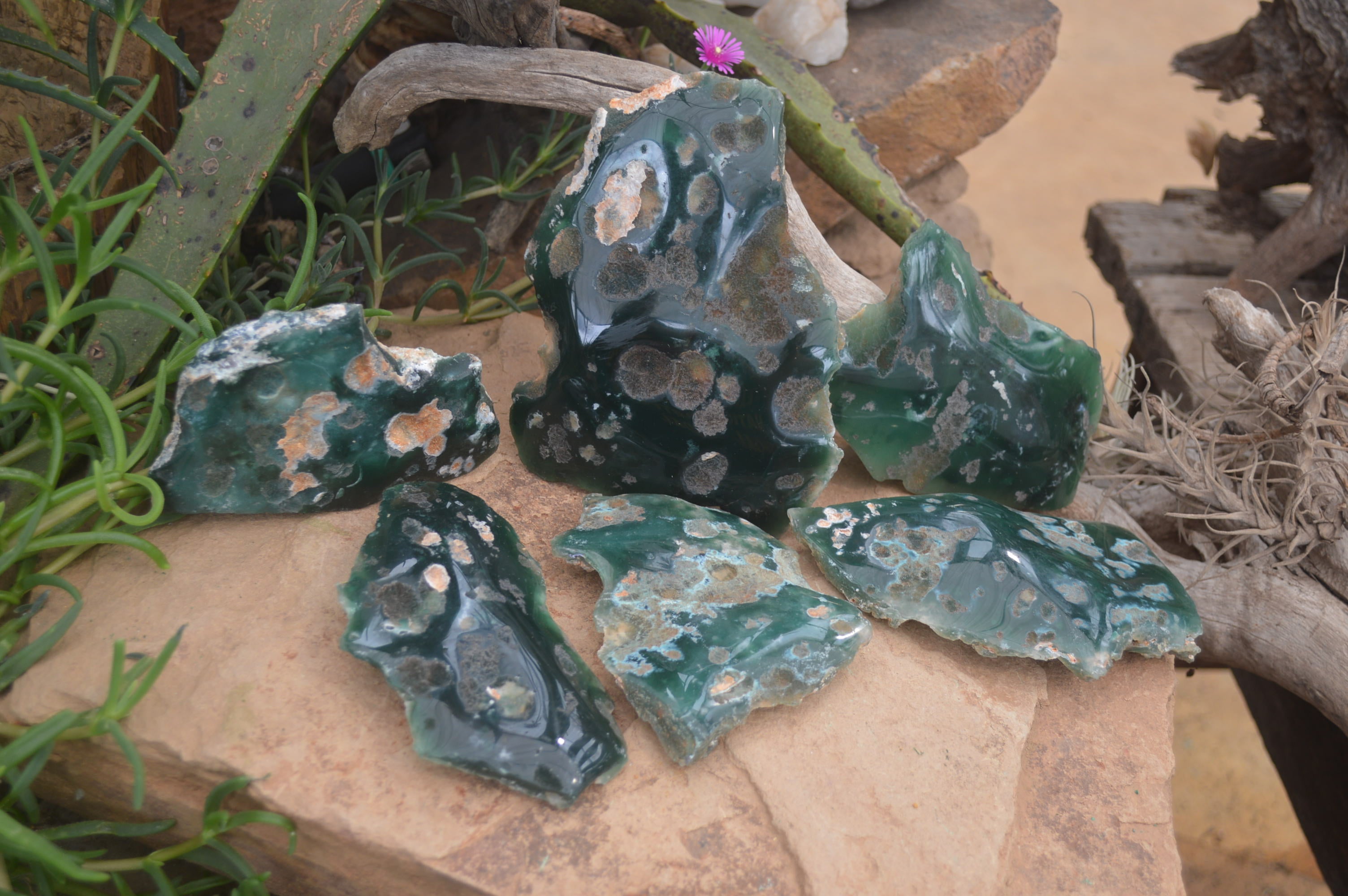 Polished On One Side Emerald Mtorolite x 6 From Mutorashanga, Zimbabwe - Toprock Gemstones and Minerals 
