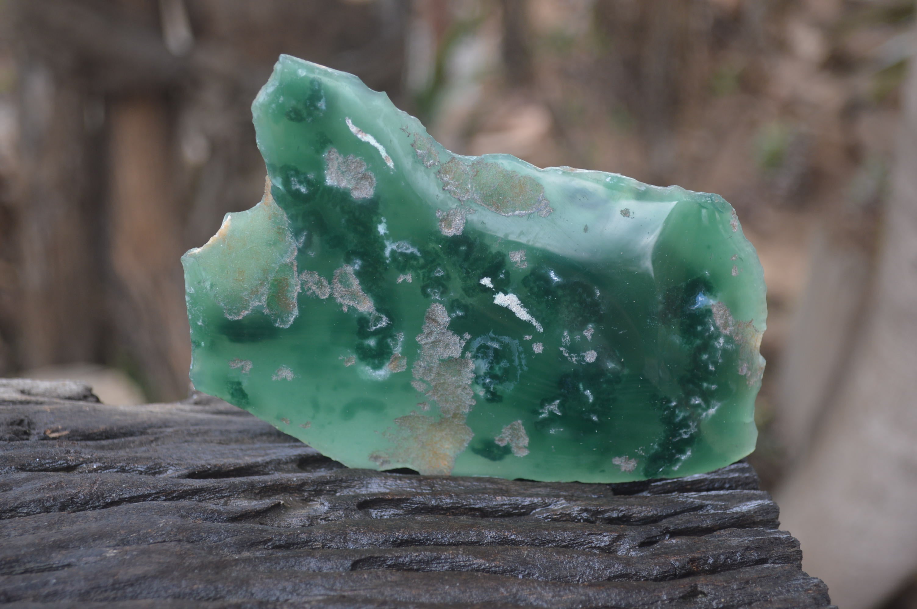 Polished On One Side Emerald Mtorolite x 6 From Mutorashanga, Zimbabwe - Toprock Gemstones and Minerals 