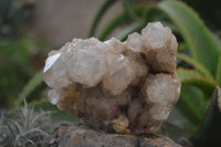 Natural White Phantom Smokey Quartz Clusters x 2 From Luena, Congo - Toprock Gemstones and Minerals 
