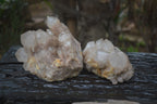 Natural White Phantom Smokey Quartz Clusters x 2 From Luena, Congo - Toprock Gemstones and Minerals 