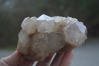 Natural White Phantom Smokey Quartz Clusters x 2 From Luena, Congo - Toprock Gemstones and Minerals 
