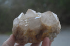 Natural White Phantom Smokey Quartz Clusters x 2 From Luena, Congo - Toprock Gemstones and Minerals 