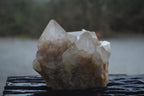 Natural White Phantom Smokey Quartz Clusters x 2 From Luena, Congo - Toprock Gemstones and Minerals 