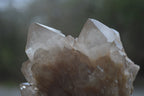 Natural White Phantom Smokey Quartz Clusters x 2 From Luena, Congo - Toprock Gemstones and Minerals 