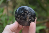 Polished Black Tourmaline Palm Stones x 24 From Madagascar - Toprock Gemstones and Minerals 