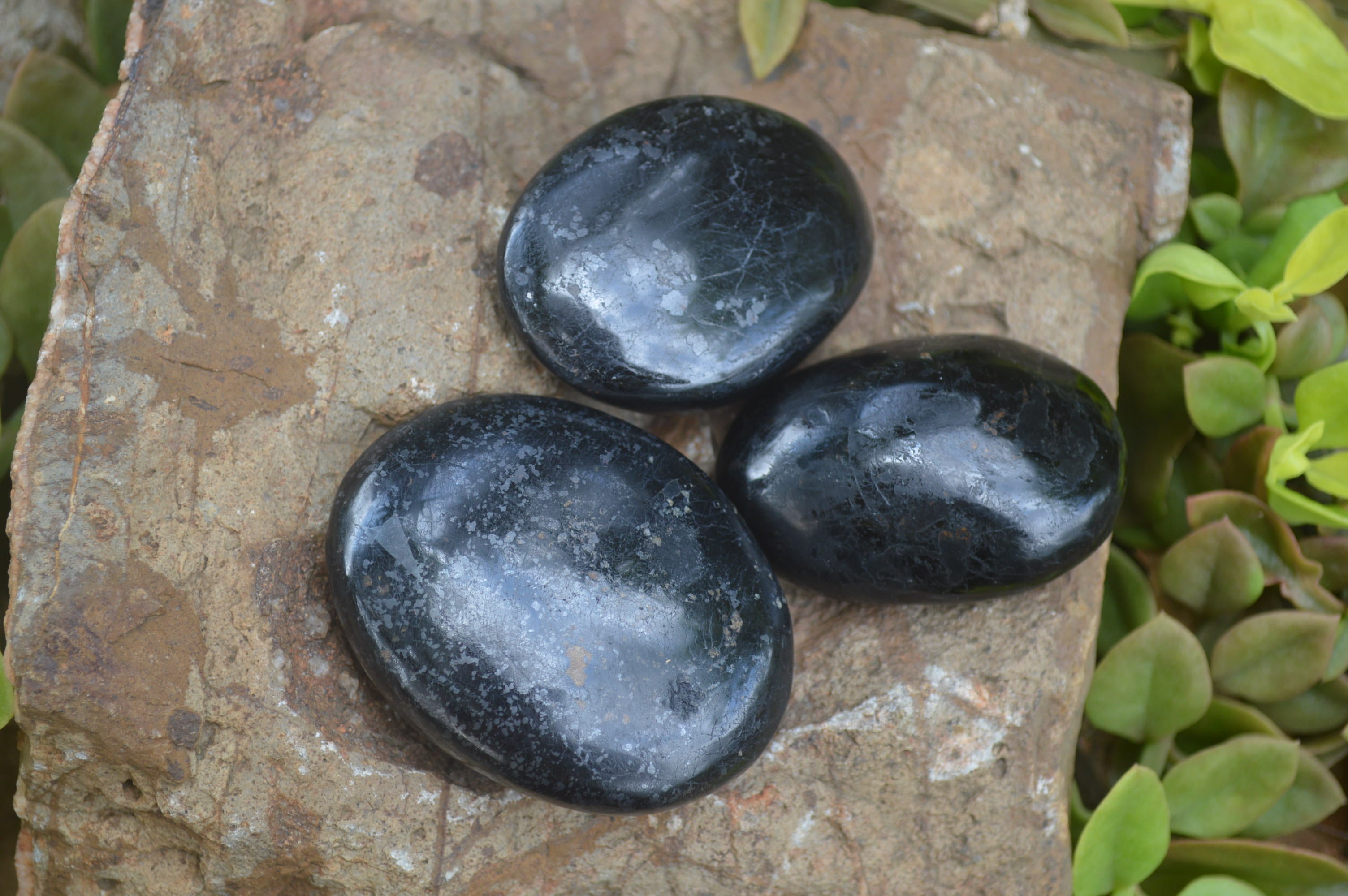 Polished Black Tourmaline Palm Stones x 24 From Madagascar - Toprock Gemstones and Minerals 