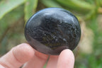 Polished Black Tourmaline Palm Stones x 24 From Madagascar - Toprock Gemstones and Minerals 