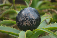 Polished Black Tourmaline Palm Stones x 24 From Madagascar - Toprock Gemstones and Minerals 