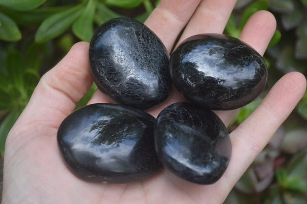 Polished Black Tourmaline Palm Stones x 24 From Madagascar - Toprock Gemstones and Minerals 