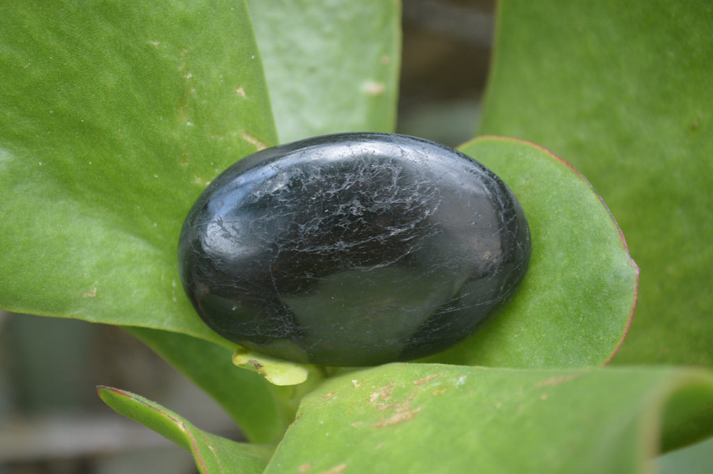 Polished Black Tourmaline Palm Stones x 24 From Madagascar - Toprock Gemstones and Minerals 